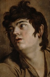 Head of a Young Man